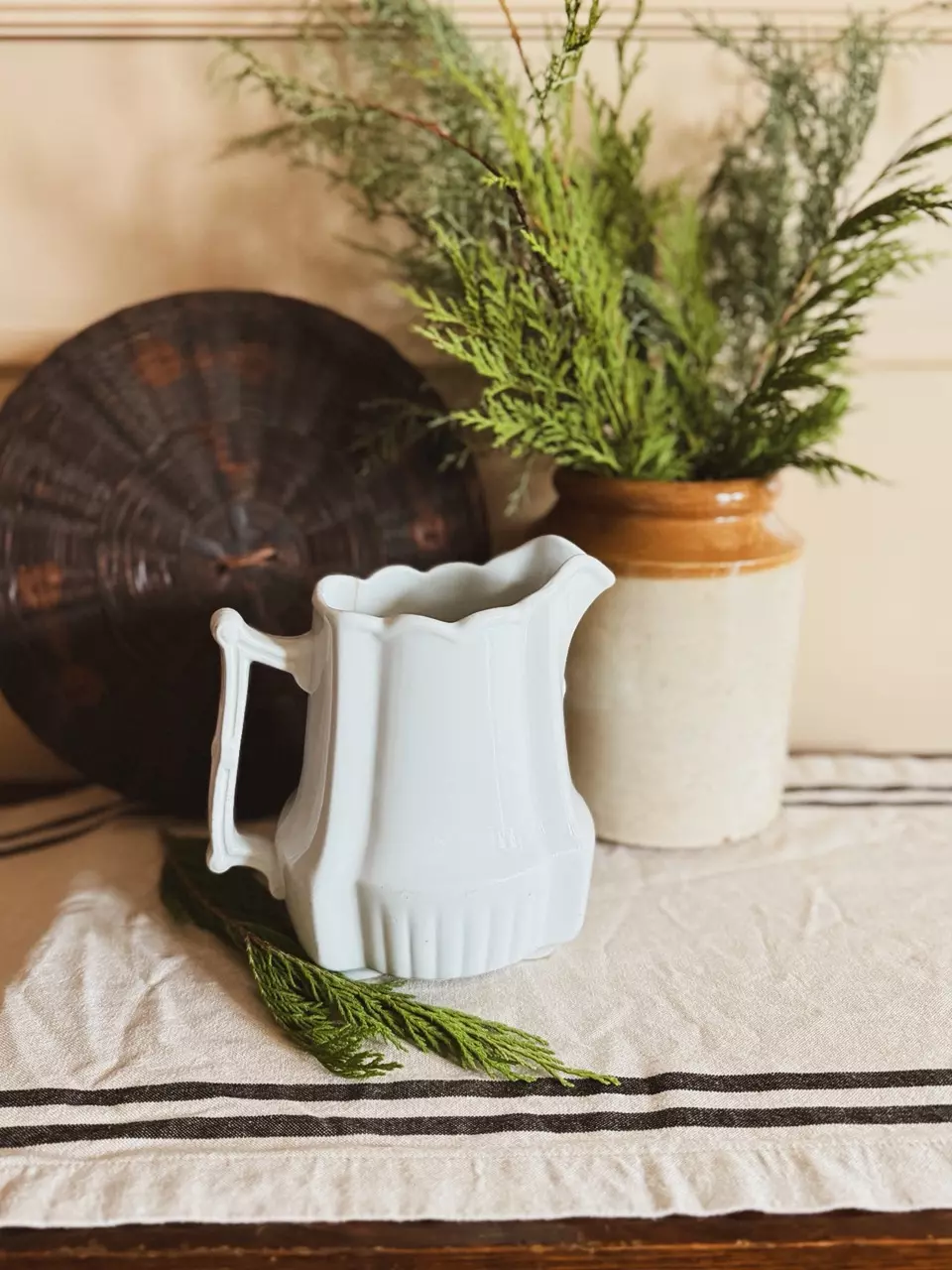 plant/Antique Ironstone Pitcher-0