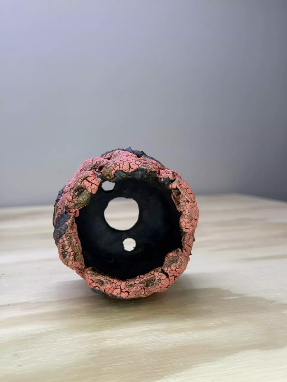 plant/Daredevil 2.75x2.75-1