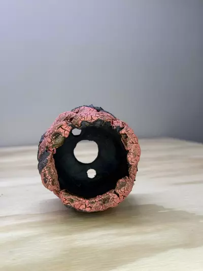 plant/Daredevil 2.75x2.75-1-thumbnail