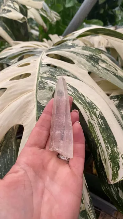 plant/PSS-0096 Quartz Point-0-thumbnail