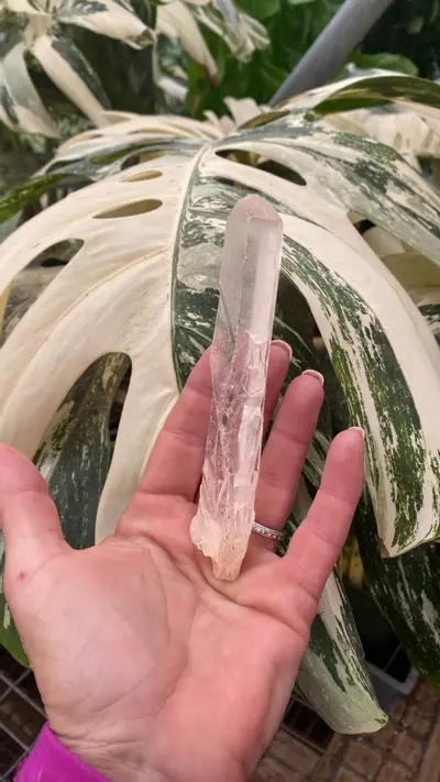 plant/PSS-0095 Quartz Point-0-thumbnail