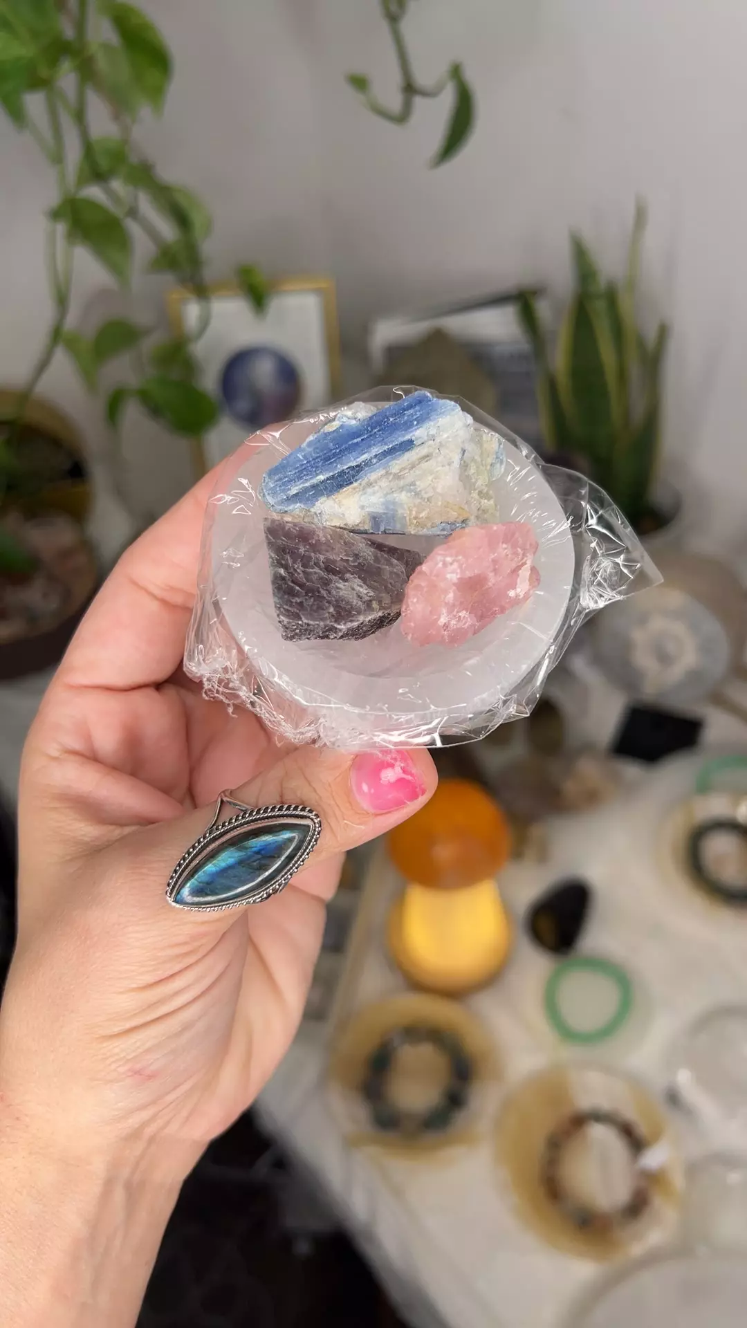 plant/raw bowl set-0