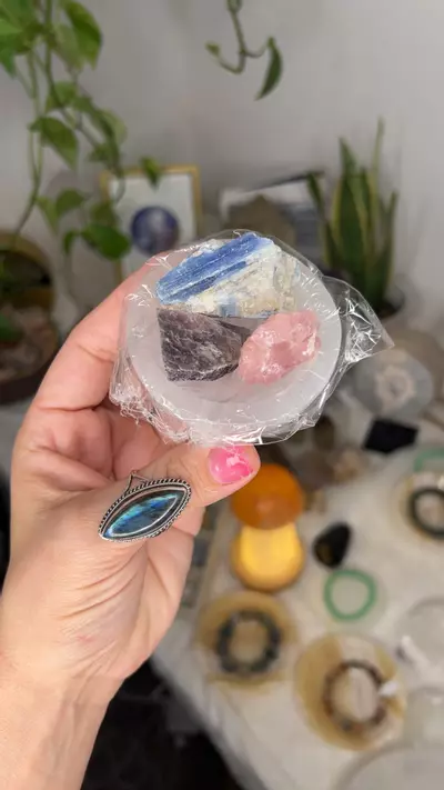 plant/raw bowl set-0-thumbnail