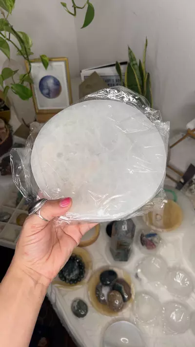 plant/8in plate-0-thumbnail