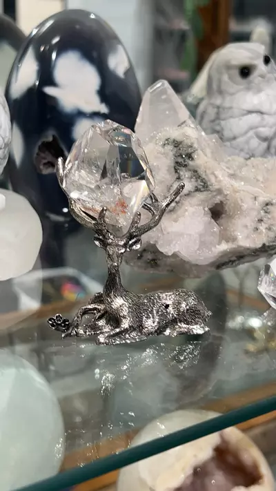 plant/deer stand-0-thumbnail