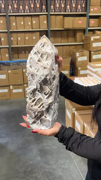 plant/XL sphalerite 446-0-thumbnail