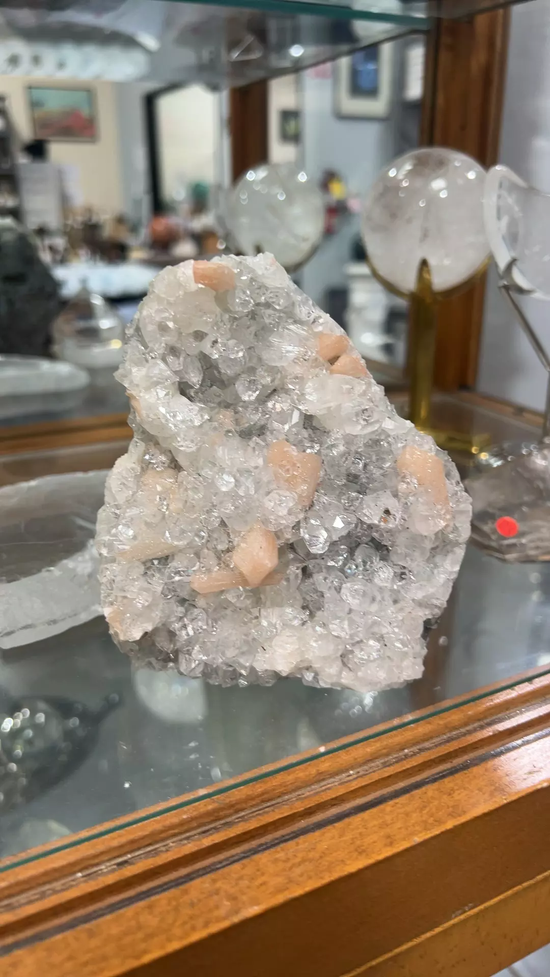 plant/Apophyllite w Stillbite 128-0