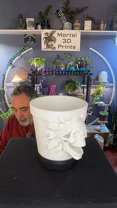 plant/05 skull face-0-thumbnail