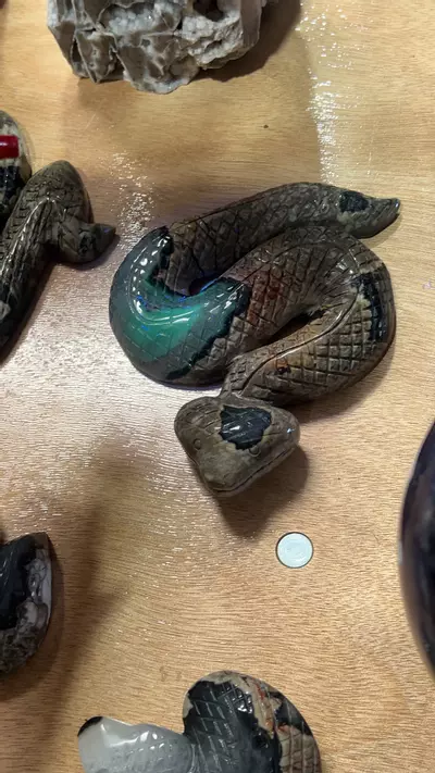 plant/volcanic agate cobra 124-0-thumbnail