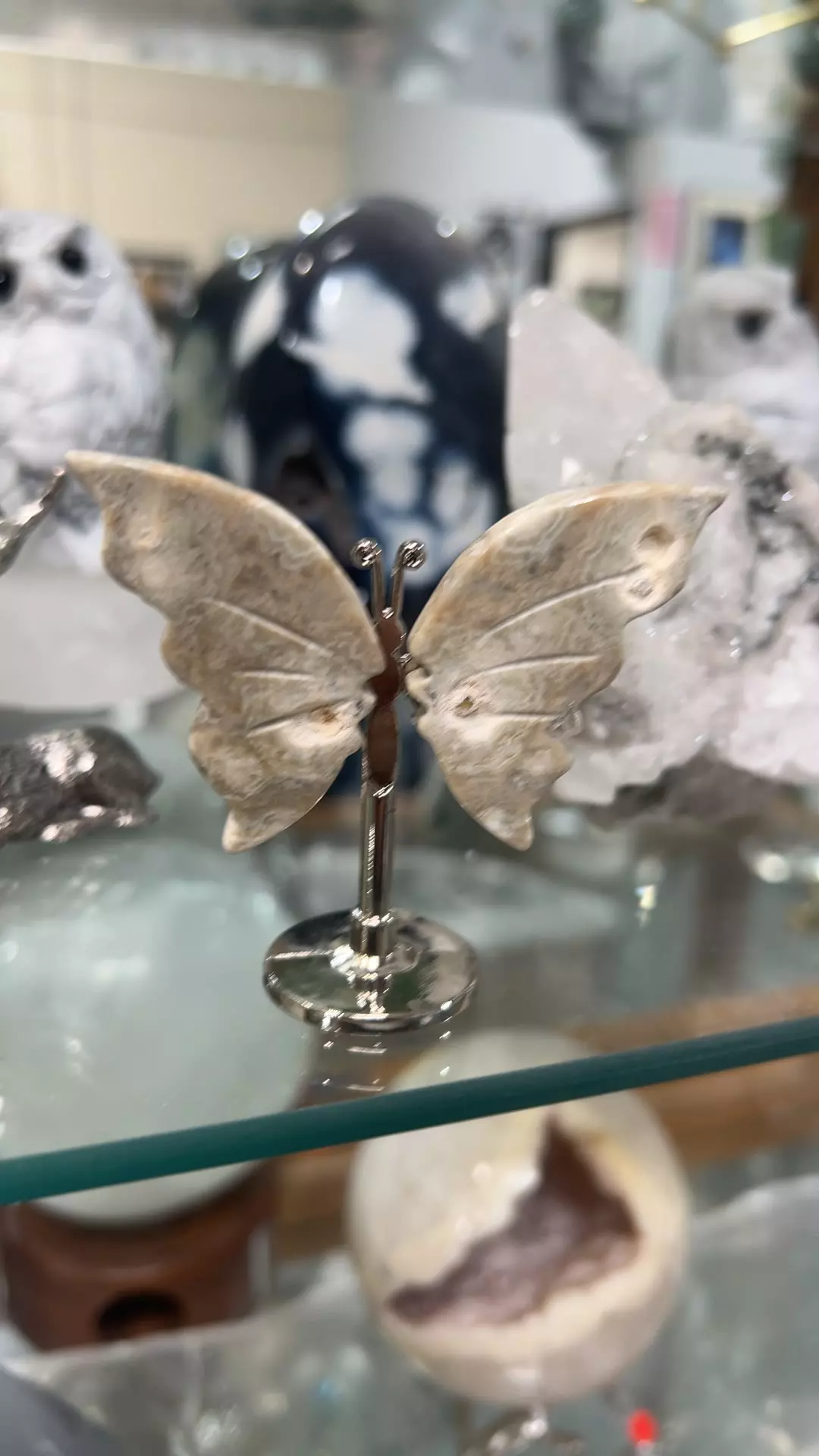 plant/butterfly agate-0