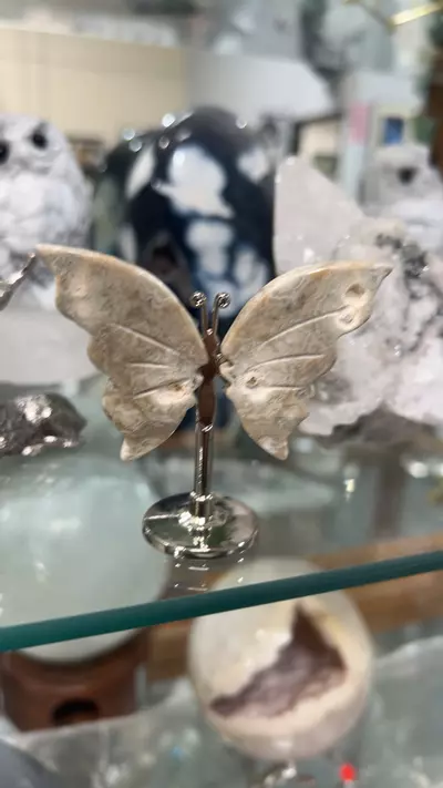 plant/butterfly agate-0-thumbnail