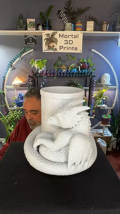 plant/02 baby dragon-0-thumbnail