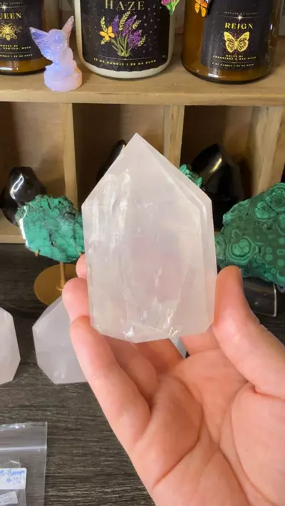 plant/$50 | Rosie Girasol 50D-0-thumbnail