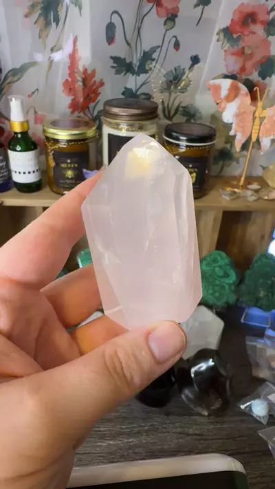 plant/$38 | Rosie Girasol 38A-0-thumbnail