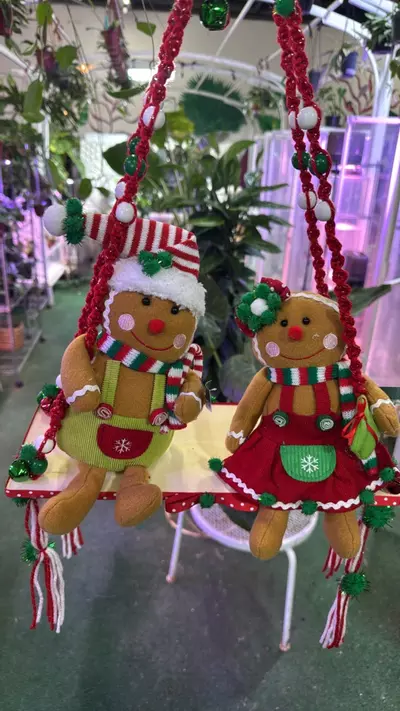 plant/Christmas decoration made by Succulents Empire mom!-0-thumbnail