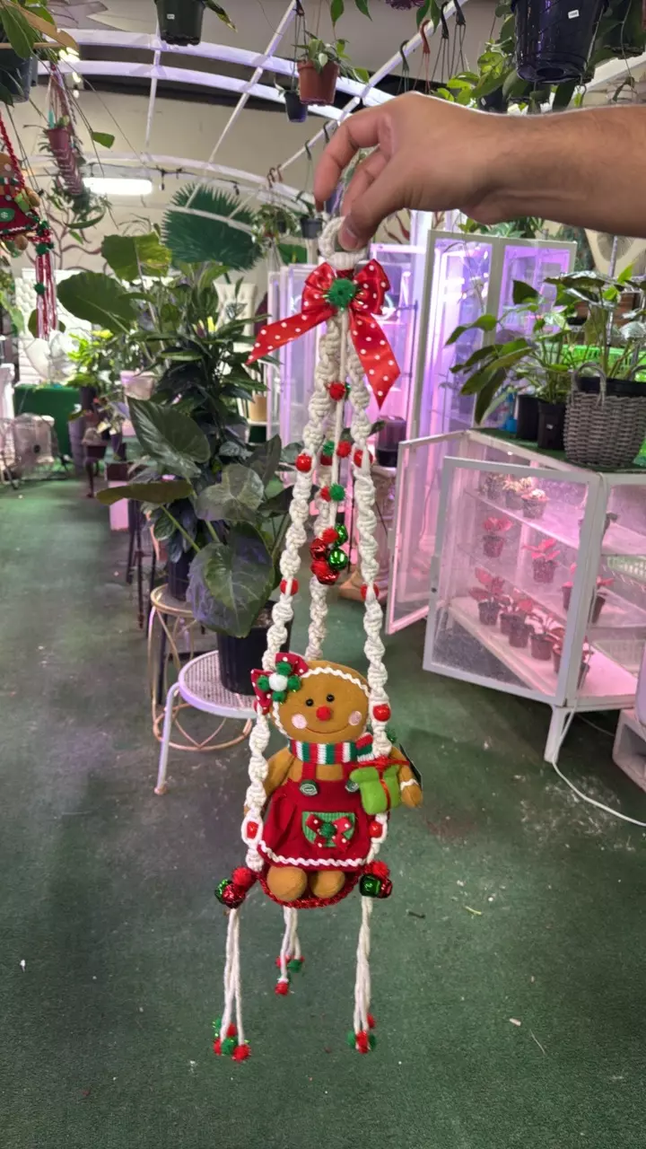 plant/Christmas decoration made by Succulents Empire mom!-0