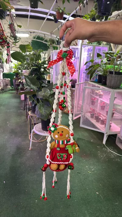 plant/Christmas decoration made by Succulents Empire mom!-0-thumbnail