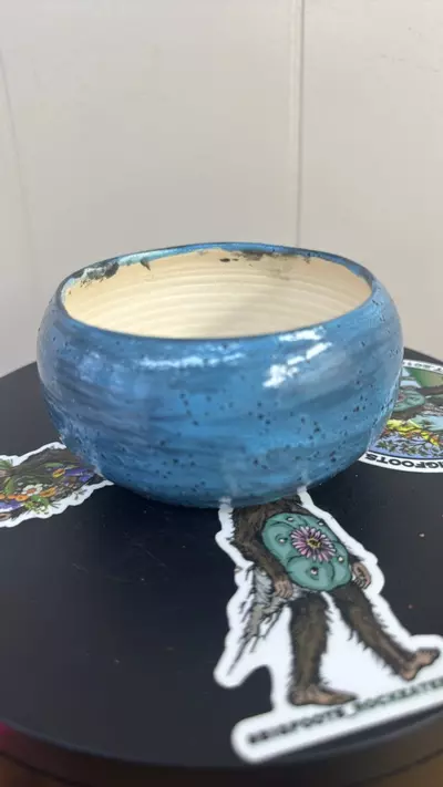 plant/P00607-1-thumbnail