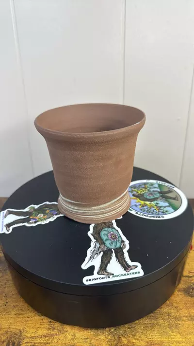 plant/p00503-1-thumbnail