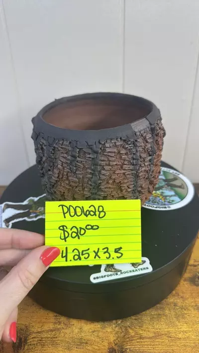 plant/P00628-0-thumbnail