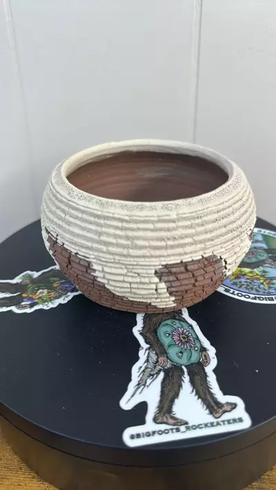 plant/P00627-1-thumbnail