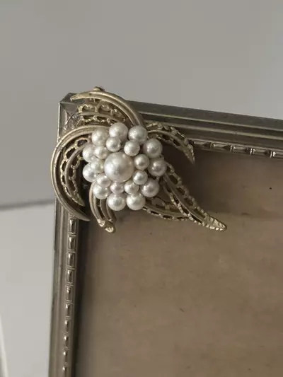 plant/Gold Tone Metal frame with brooch detail-1-thumbnail
