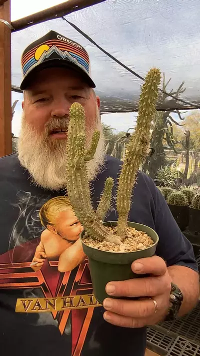 plant/Hoodia Gordonii 5”-0-thumbnail