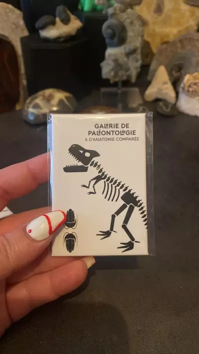 plant/Galerie de Paléontologie Trex Paris Magnet-0-thumbnail