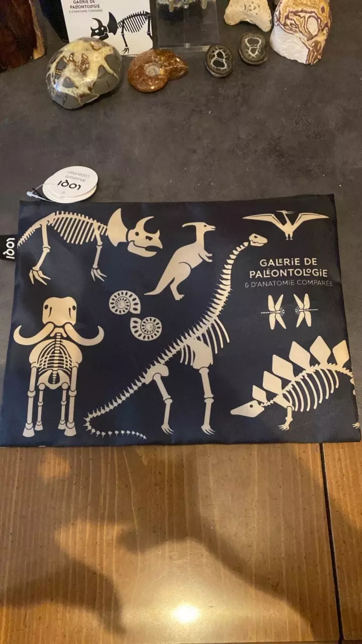 plant/Galerie de Paléontologie Pouch-0