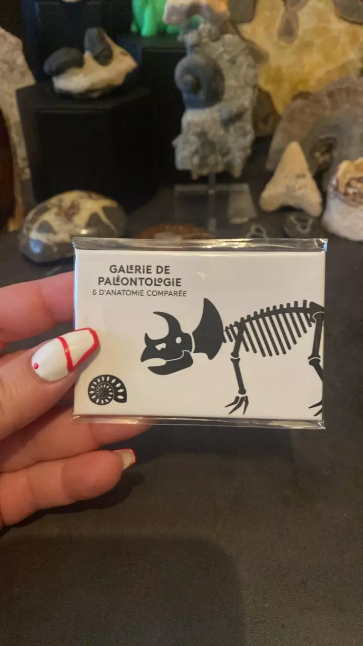 plant/Galerie de Paléontologie Triceratops Paris Magnet-0