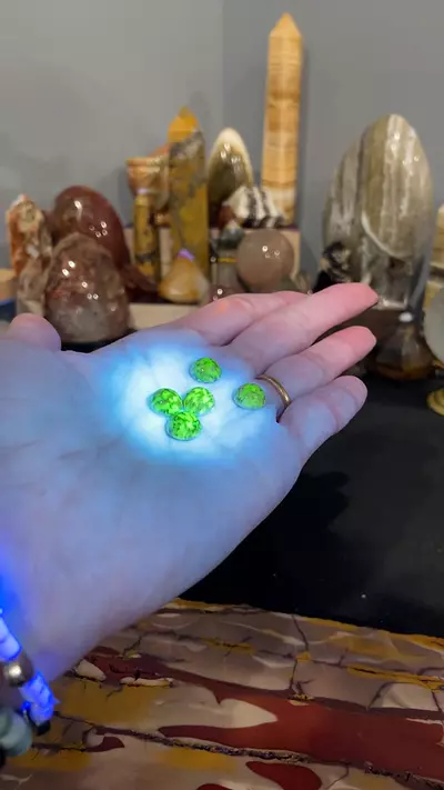 plant/Uranium Cab-0-thumbnail