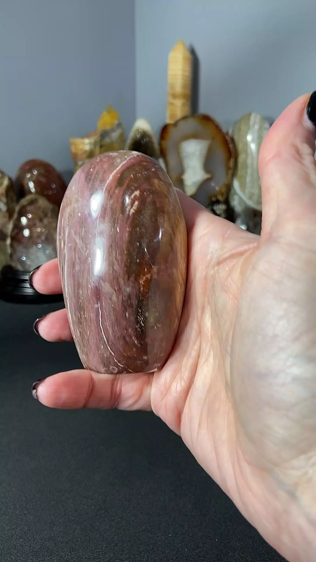 plant/Pet Wood Freeform-0