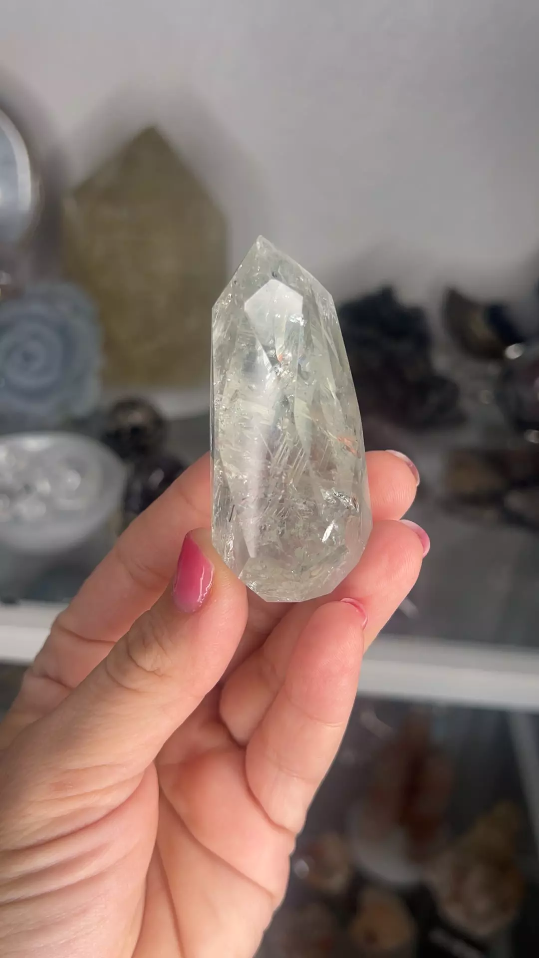 plant/faceted prasiolite-0