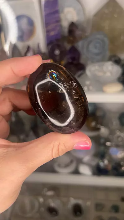 plant/AAA smoky palm 44-0-thumbnail