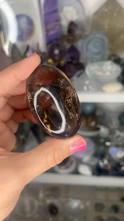 plant/AAA BRAZILIAN SMOKY PALM  36-0-thumbnail