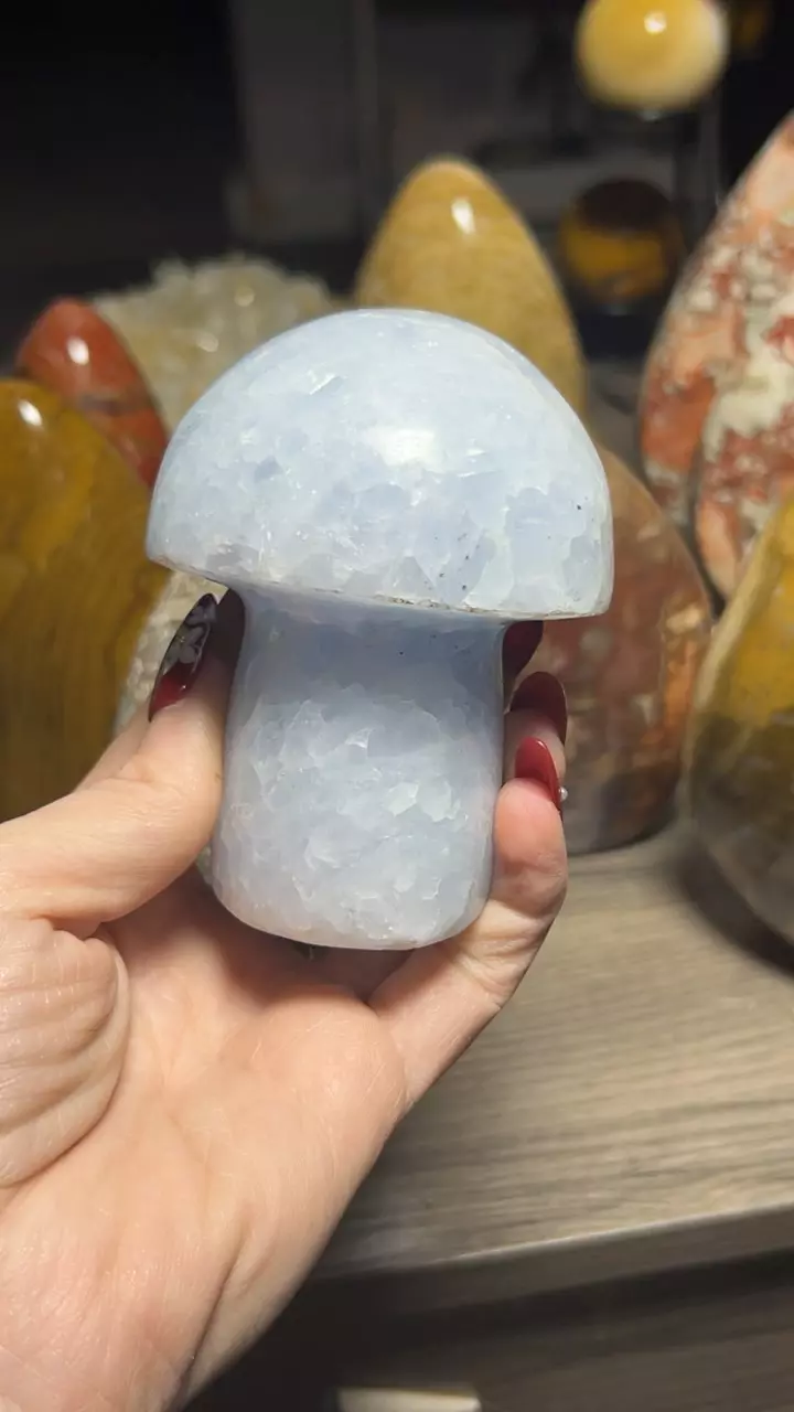 plant/Blue Calcite Mushroom-0