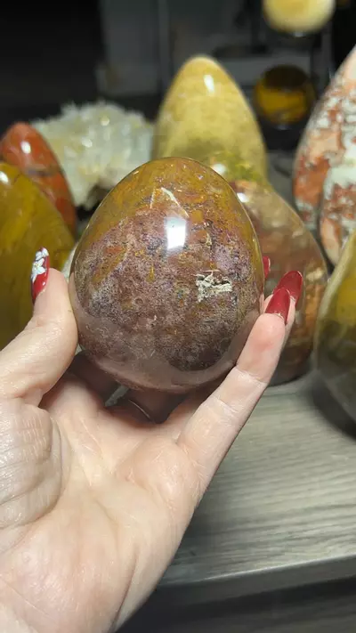 plant/Egg….-0-thumbnail