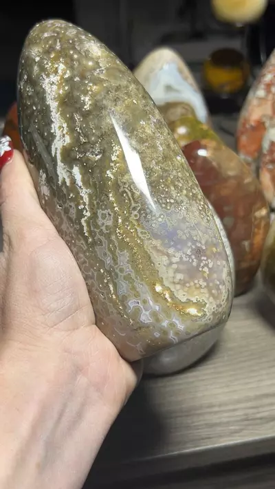 plant/OJ Freeform-0-thumbnail