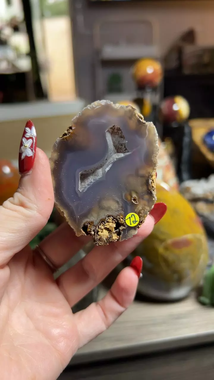 plant/Laguna Agate-0