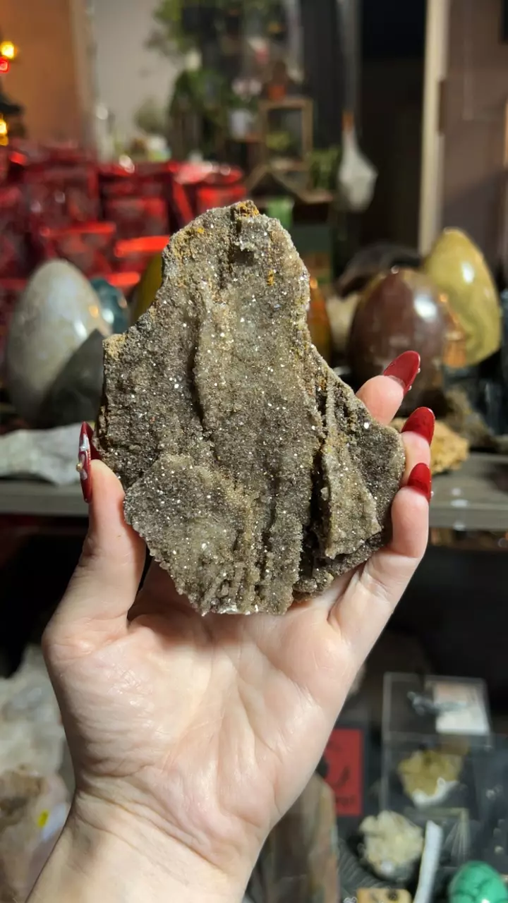 plant/Permineralized Wood from Brilliant, Alabama-0