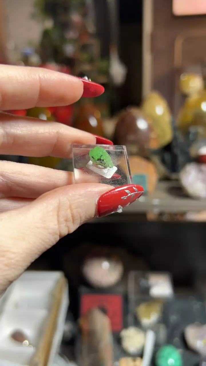 plant/tsavorite garnet-0