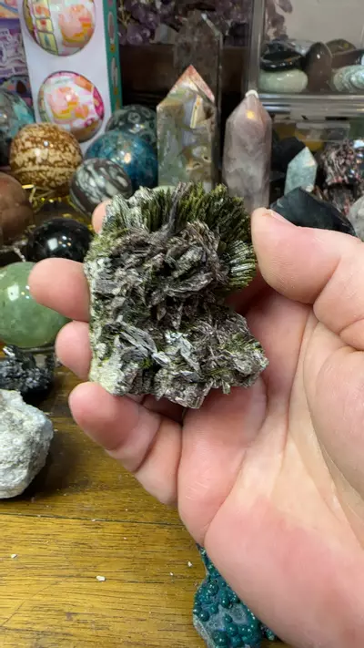 plant/axinite with epidote-0-thumbnail