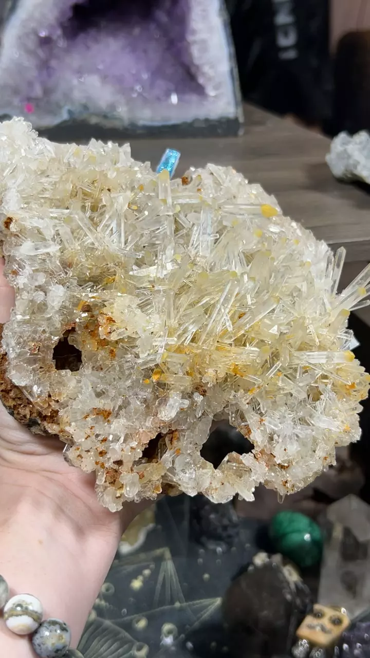 plant/Mango Quartz-0