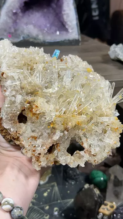 plant/Mango Quartz-0-thumbnail