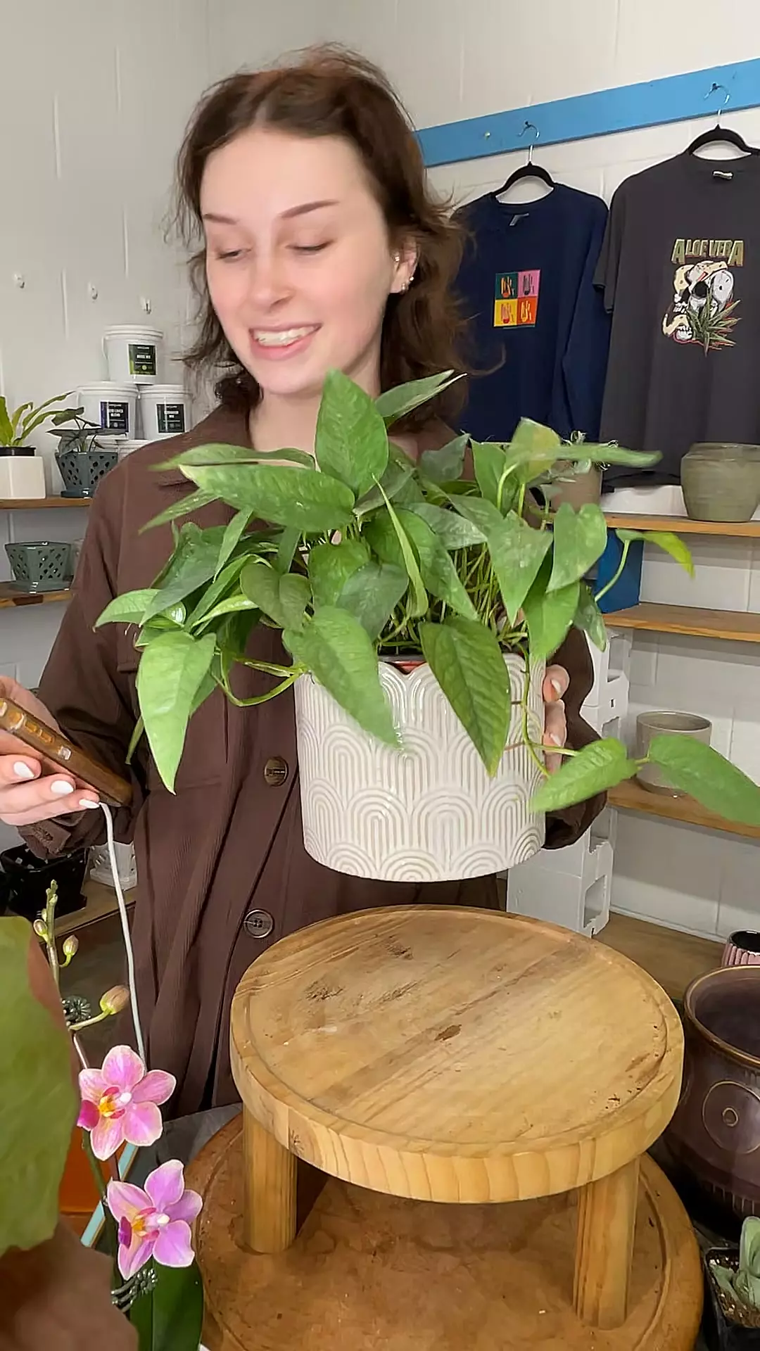 plant/Cebu Blue & Scalloped Pot Combo-0