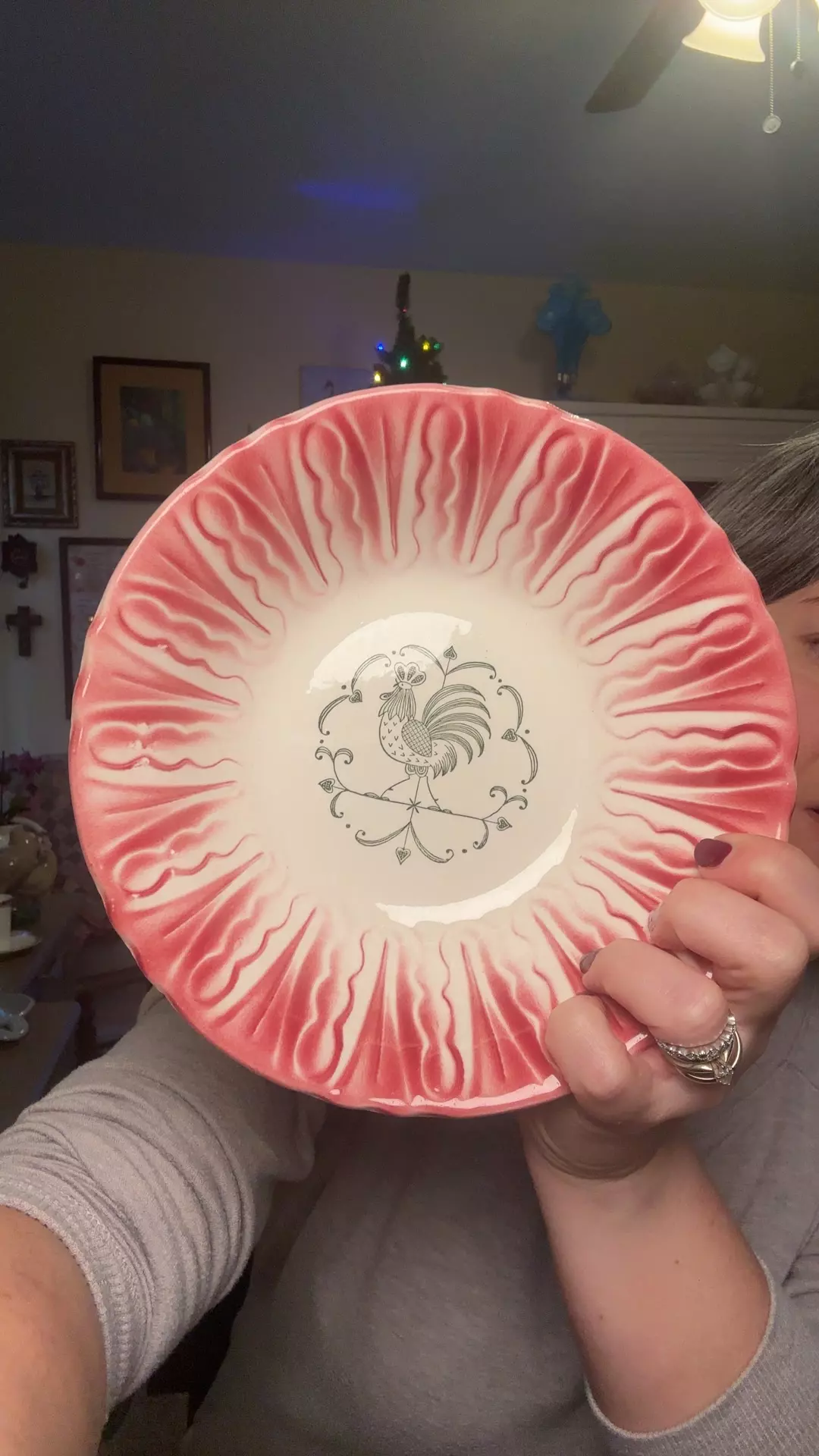 plant/scio 7” bowl-0