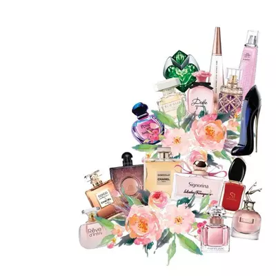 plant/Random Beauty-0-thumbnail