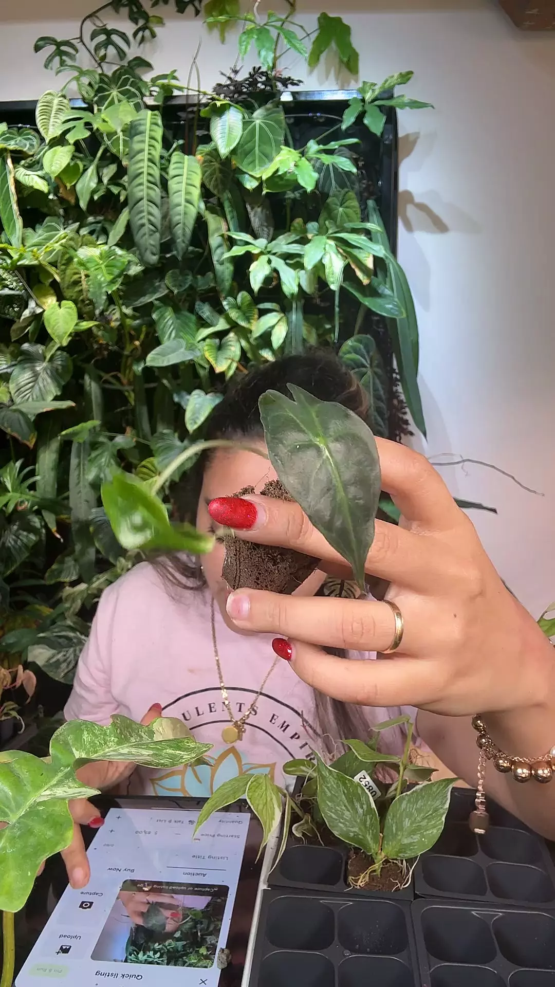 plant/Alocasia venom GC-0