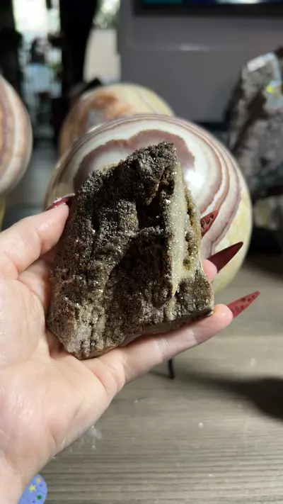 plant/Permineralized Wood from Brilliant, Alabama-0-thumbnail