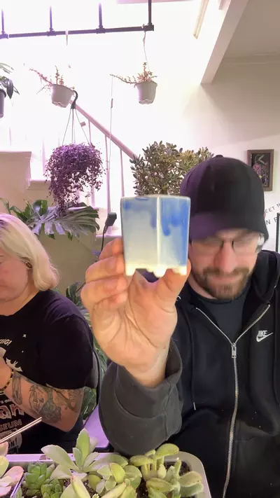 plant/blue pot-0-thumbnail